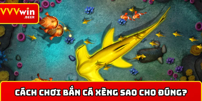 Khám phá cách chơi bắn cá xèng