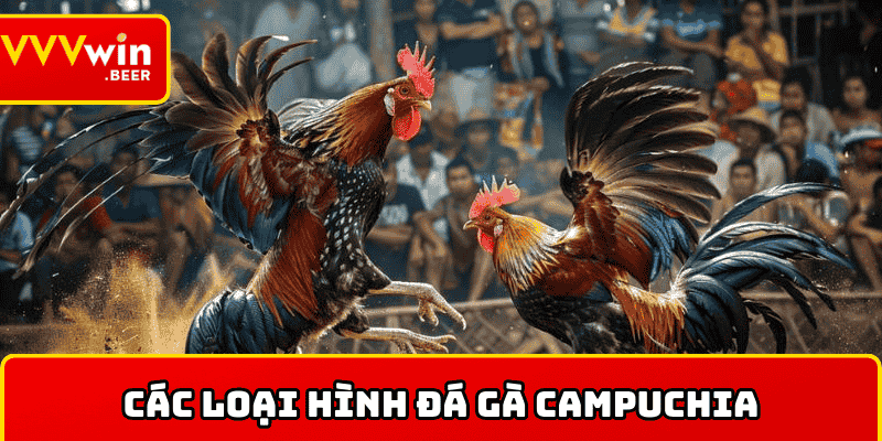 Các loại hình đá gà Campuchia