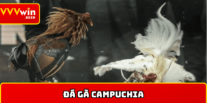 Đá gà Campuchia