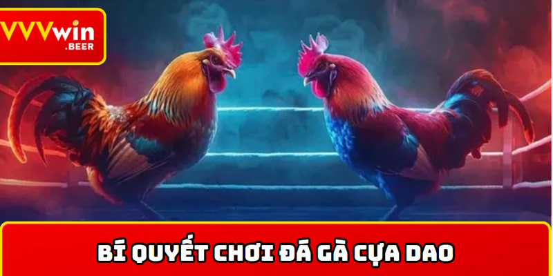 Chia sẻ kinh nghiệm chơi đá gà cựa dao có hiệu quả nhất