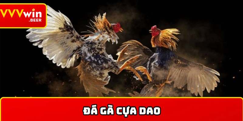 Giới thiệu về đá gà cựa dao