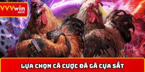 Đá gà cựa sắt