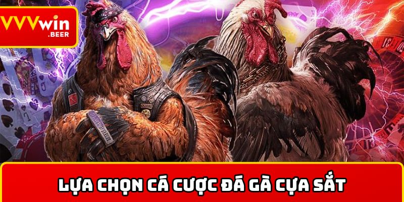 Đá gà cựa sắt