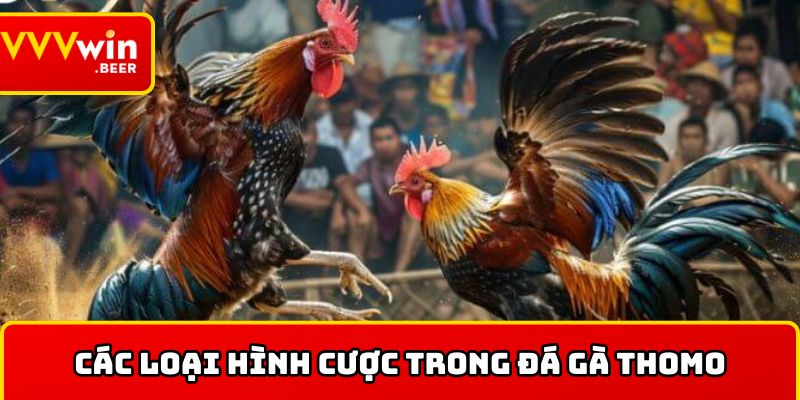 Các loại hình cược trong đá gà Thomo