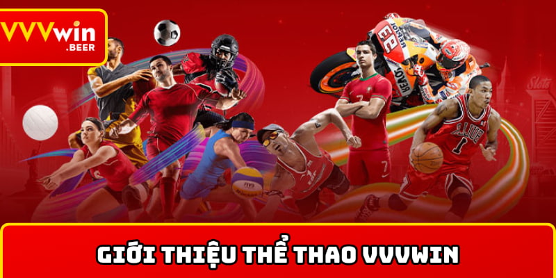 Tìm hiểu sảnh Thể thao VVVWIN