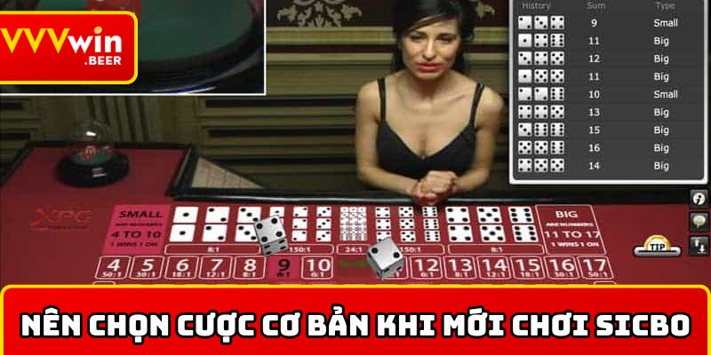 Nên chọn cược cơ bản khi mới chơi Sicbo