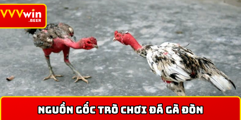 Nguồn gốc trò chơi đá gà đòn