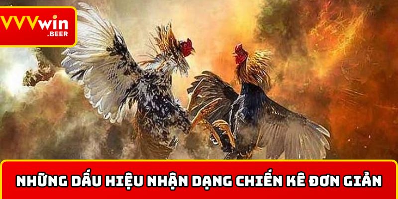 Những dấu hiệu nhận dạng chiến kê đơn giản