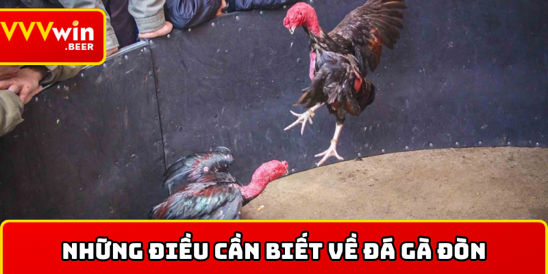 Những điều cần biết về đá gà đòn