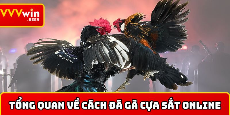 Tổng quan cụ thể về cách đá gà cựa sắt online